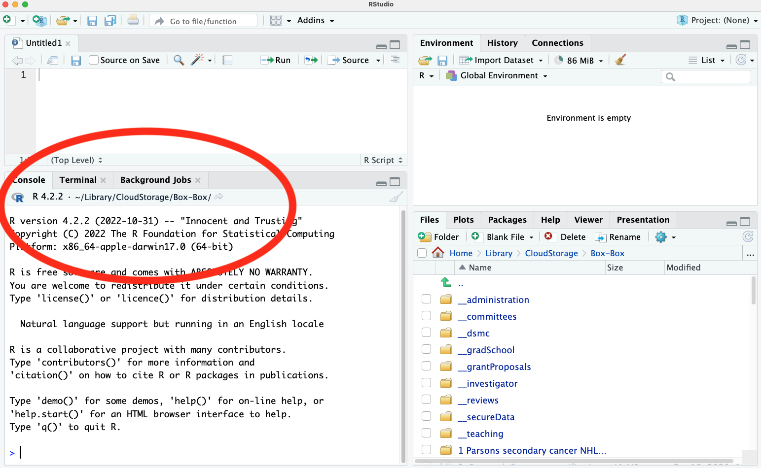 RStudio IDE screenshot showing the console panel