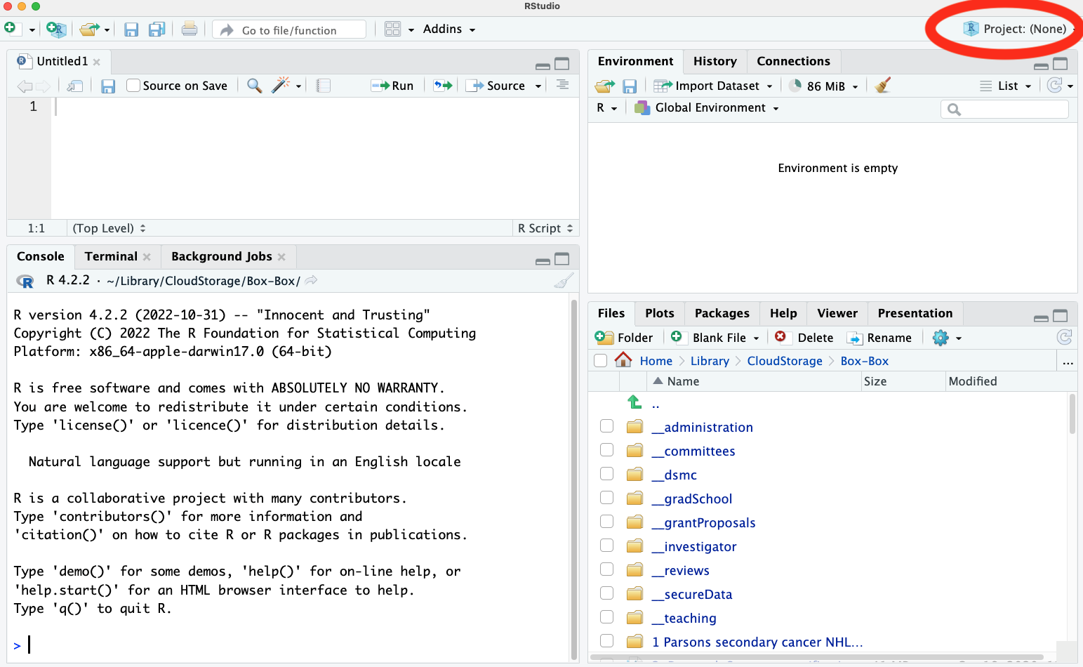 RStudio IDE screenshot showing the environment and history panel