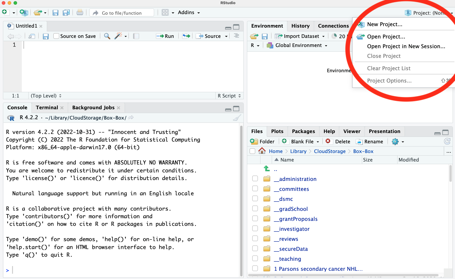 RStudio IDE screenshot showing the files and plots panel